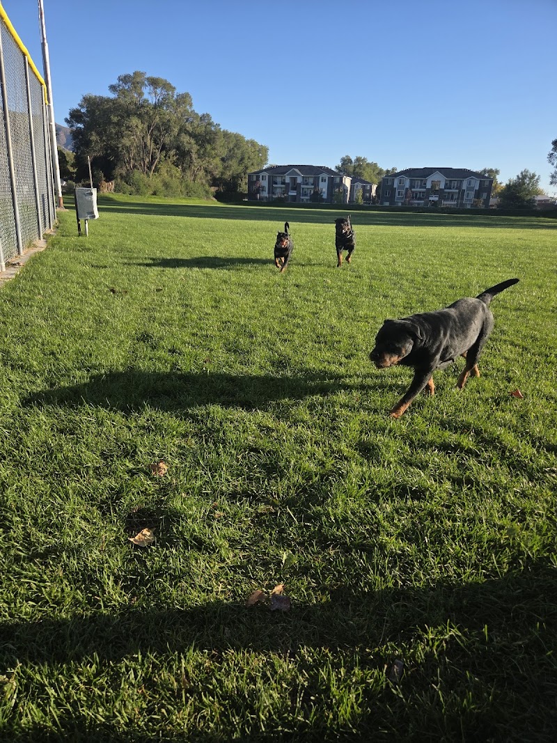 4th Street Park photo 2