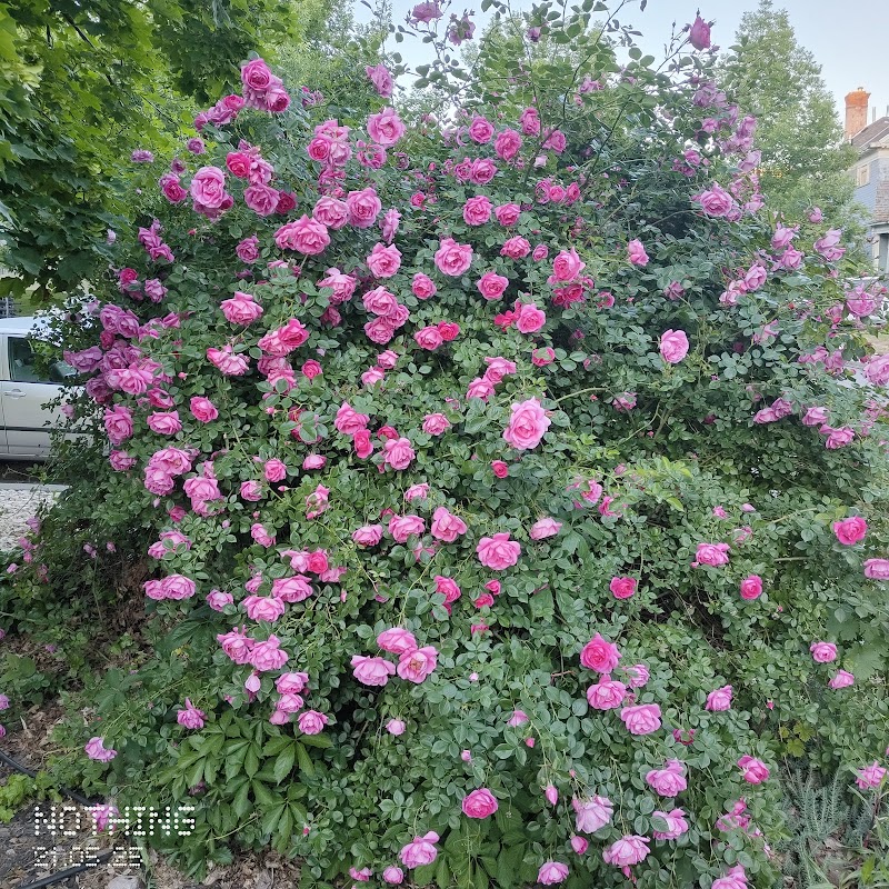 6th East Park photo 3