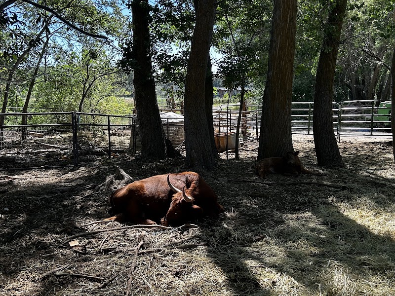 Alligator Park photo 3