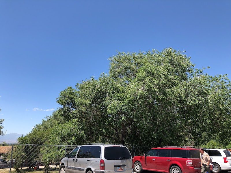 Anderson Park photo 2