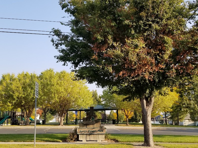 Ascot Downs Park photo 2