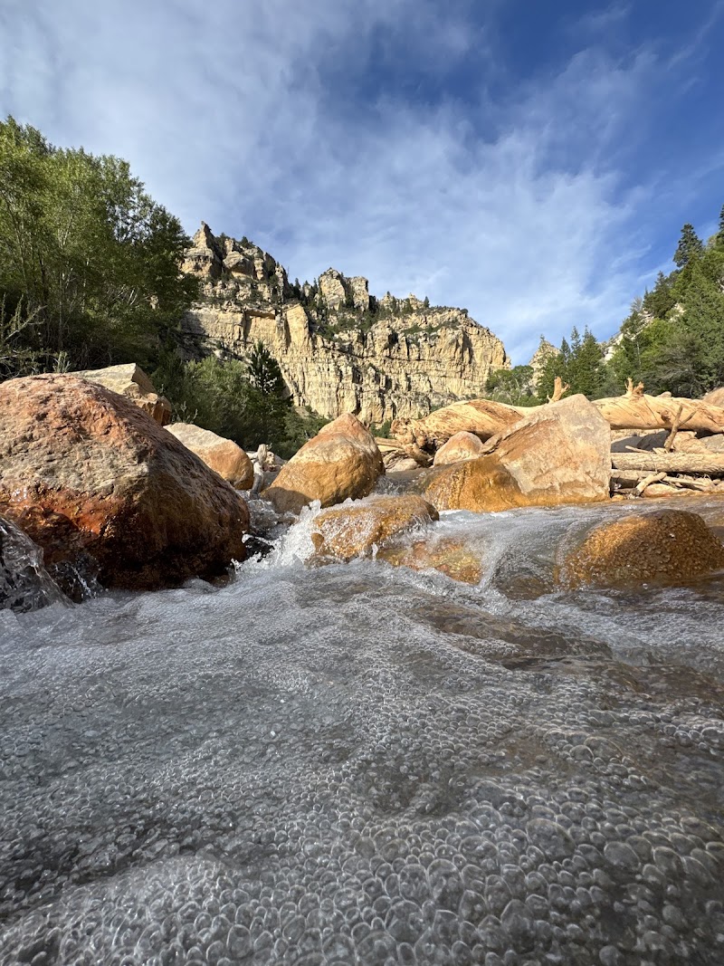 Ashdown Gorge Wilderness Area
