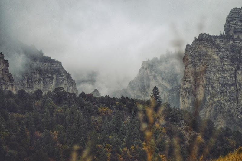 Ashdown Gorge Wilderness Area photo 2