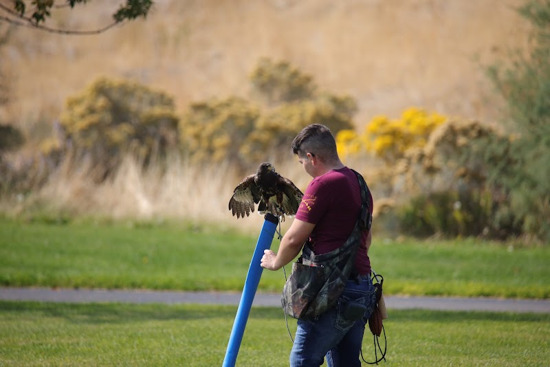 Autumn Dusk Park photo 3