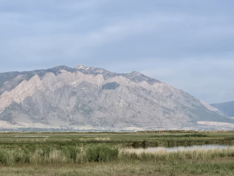 Bear River Migratory Bird Refuge Center photo 3