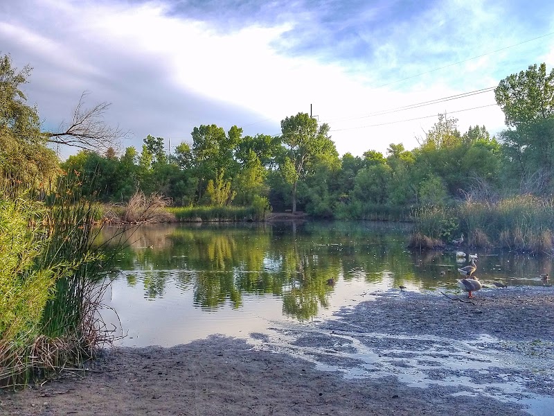 Beus Pond Park photo 2