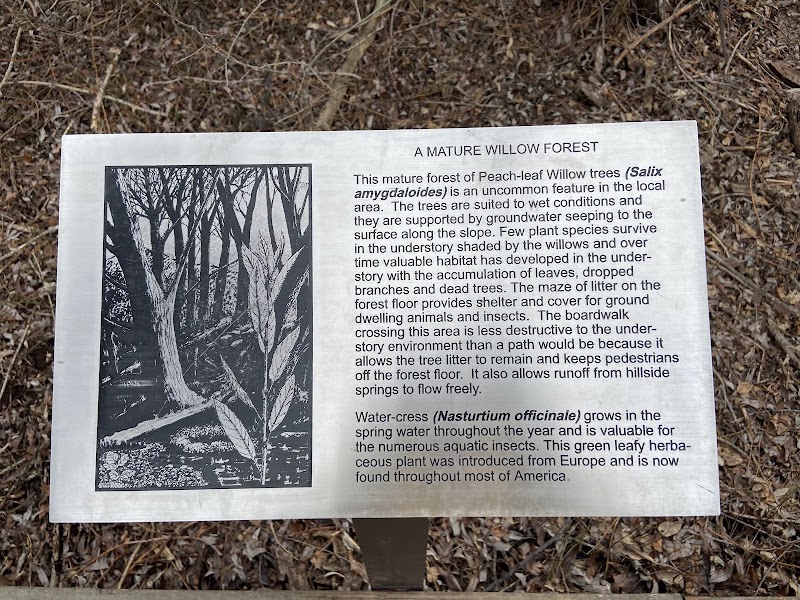 Bicentennial Boardwalk photo 3