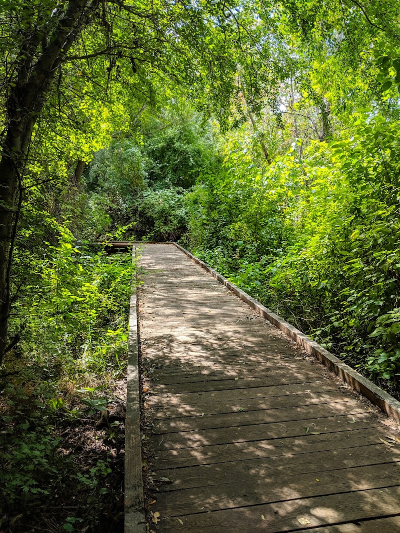 Bicentennial Park photo 3