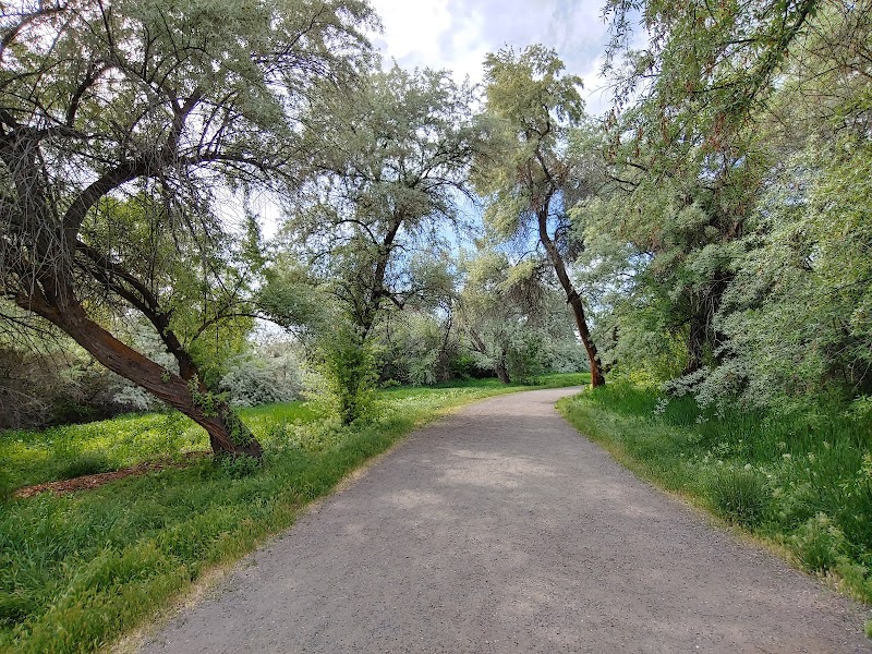 Big Cottonwood Regional Park - Big Cottonwood Area photo 2