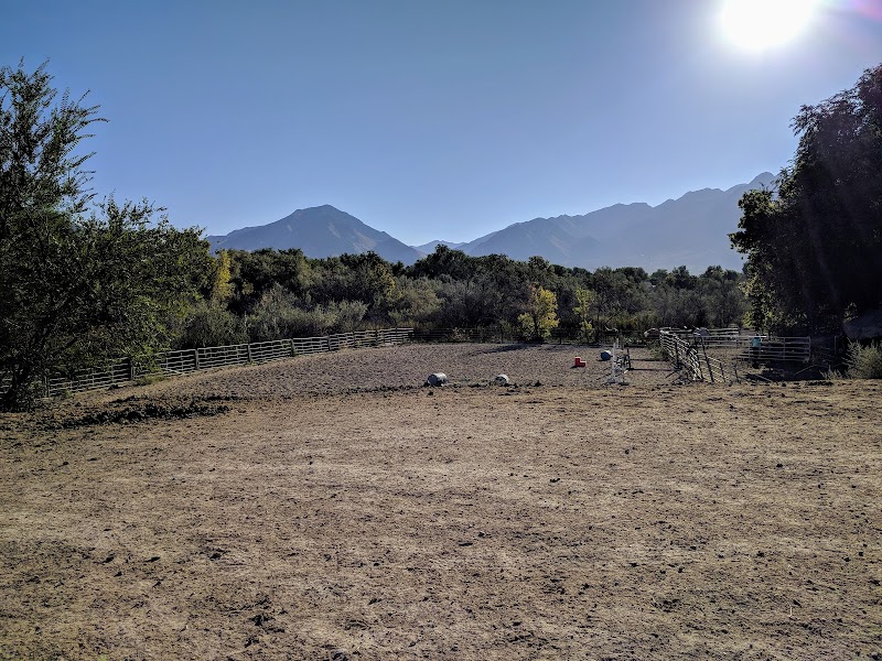 Big Cottonwood Regional Park - Hillview Area