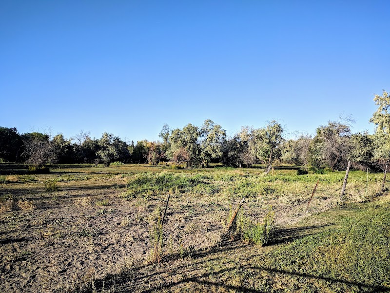 Big Cottonwood Regional Park - Hillview Area photo 2