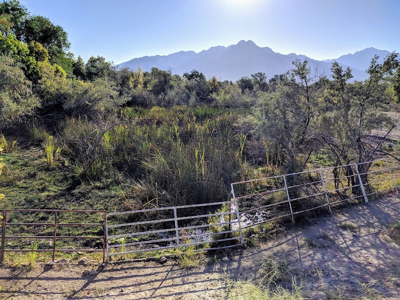 Big Cottonwood Regional Park - Hillview Area photo 3