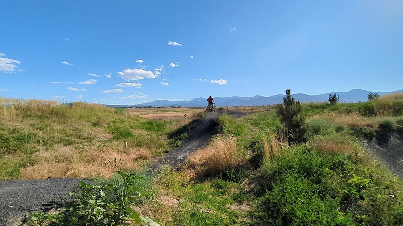 Bingham Creek Regional Park photo 2