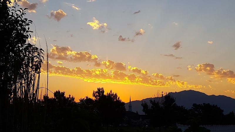 Bloomfield Farms Park photo 2