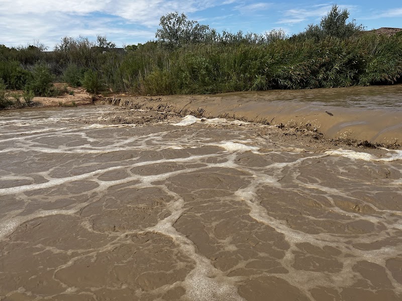 Bloomington Park Pickleball Courts