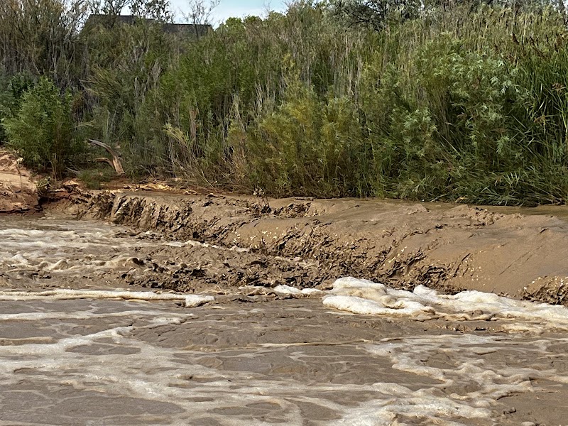 Bloomington Park Pickleball Courts photo 2