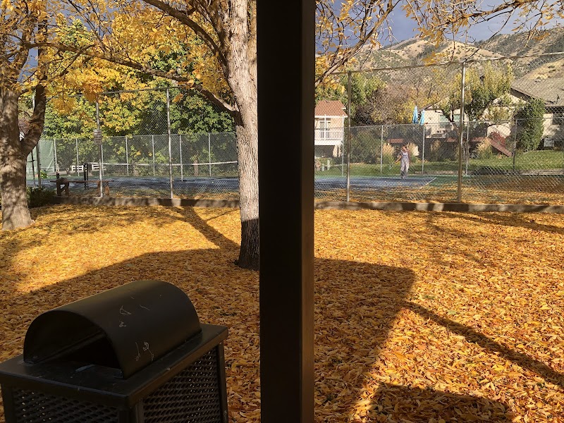 Braegger Park photo 3