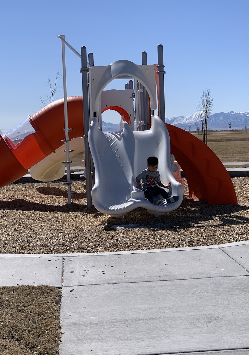 Brandon Park Community Park photo 2