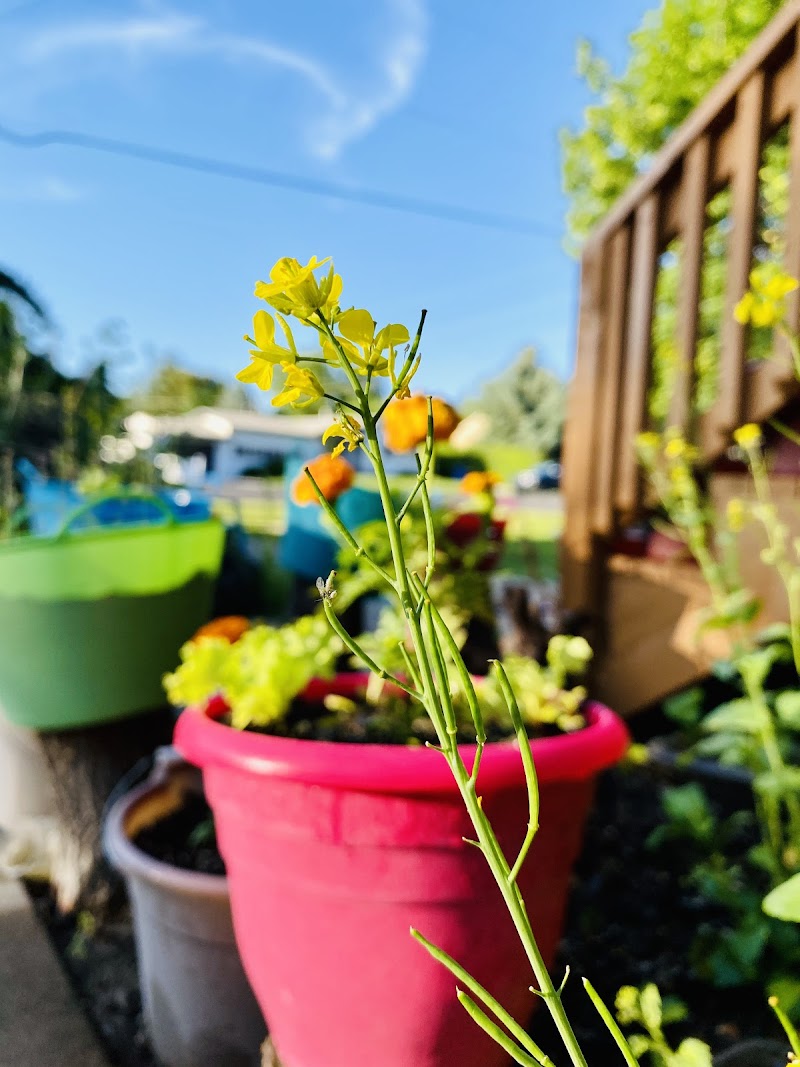 Canal Corner Pocket Park photo 3