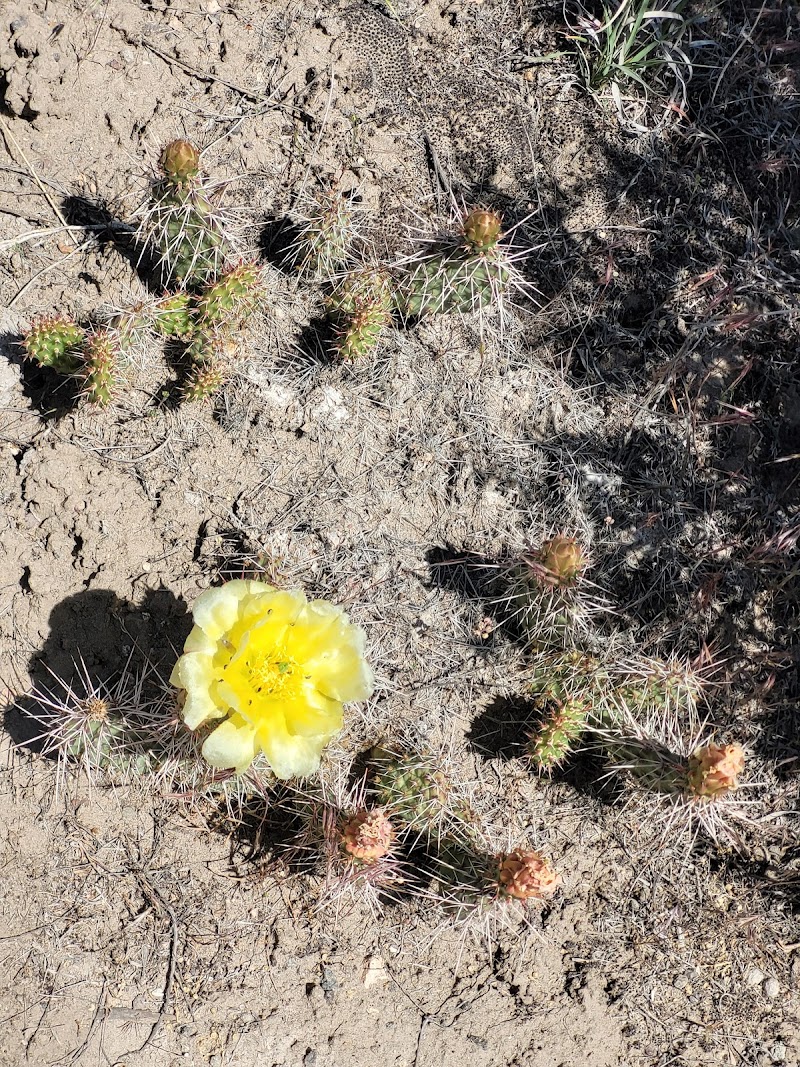 Canyon View Park photo 3