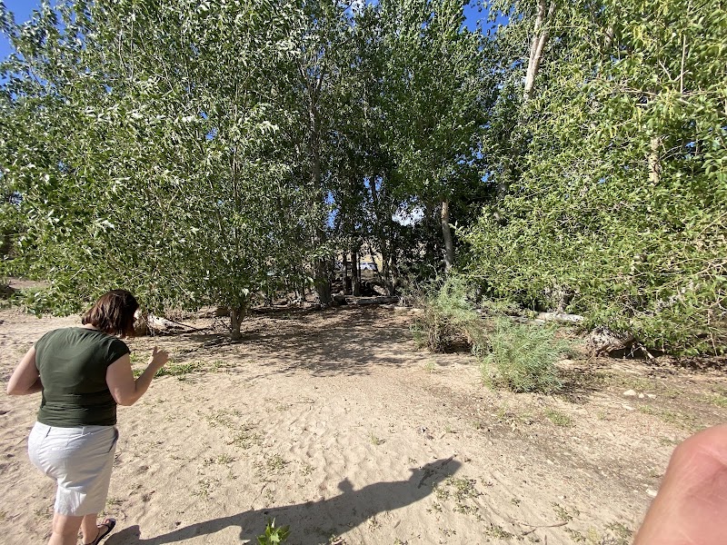 Charleston Town Park photo 2