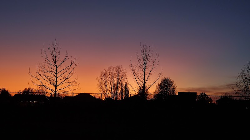 Chelsie Meadows Park