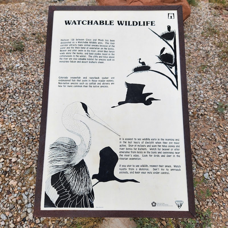 Colorado Riverside Recreation Area photo 3