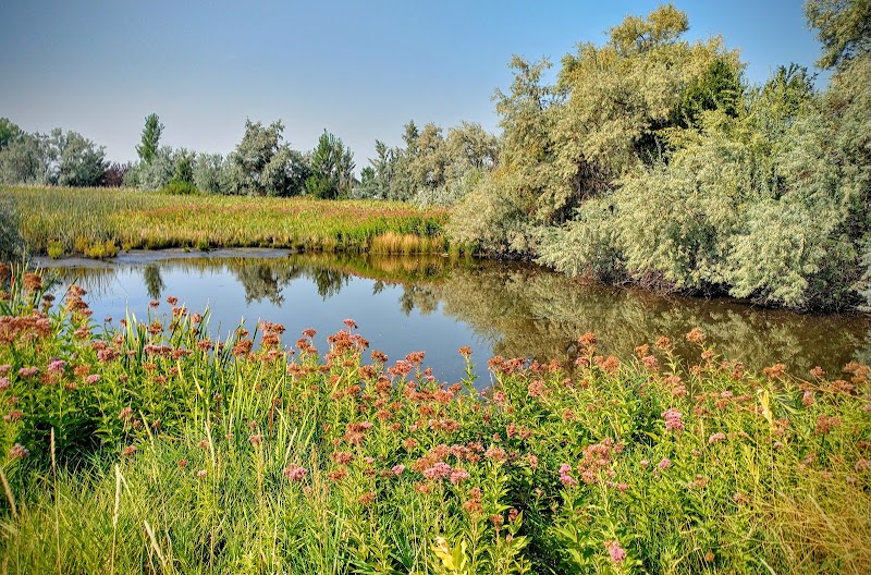 Dale Young Nature Park photo 2