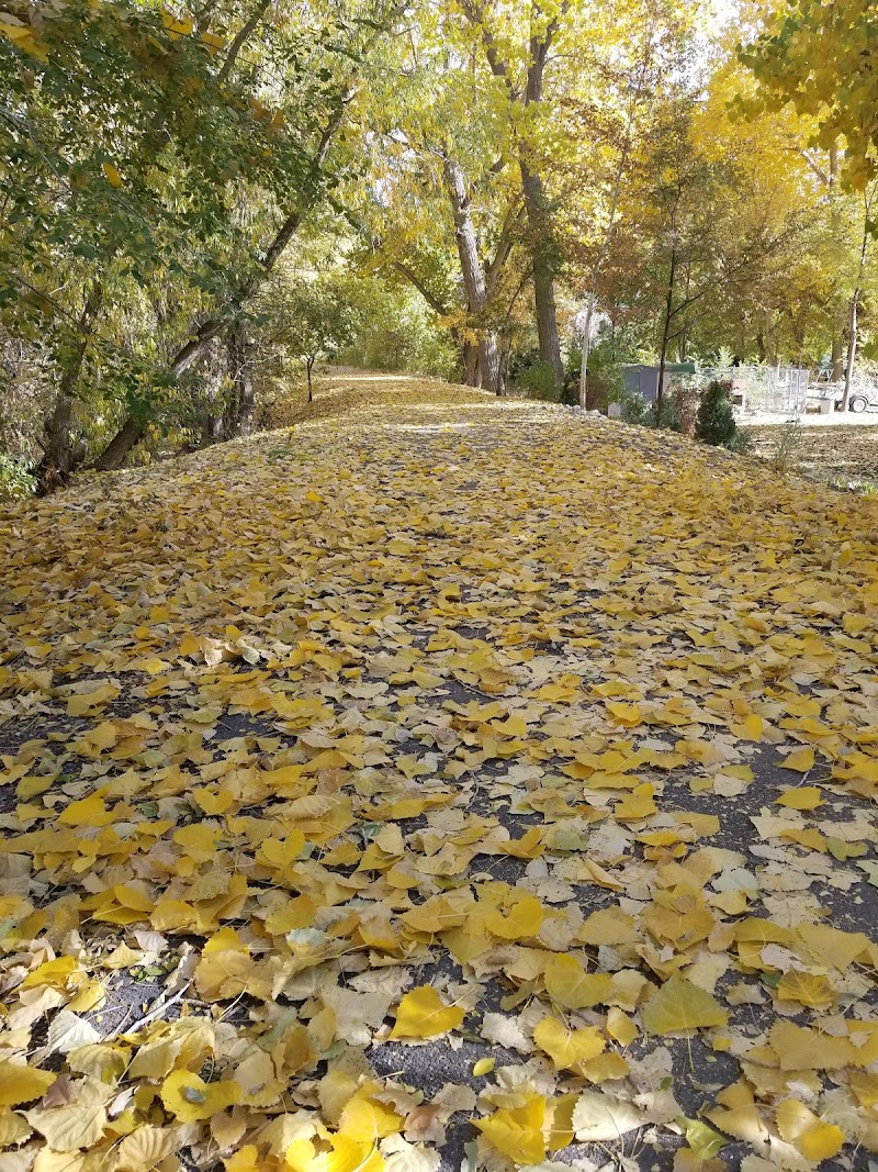 Devon Glen Park photo 2