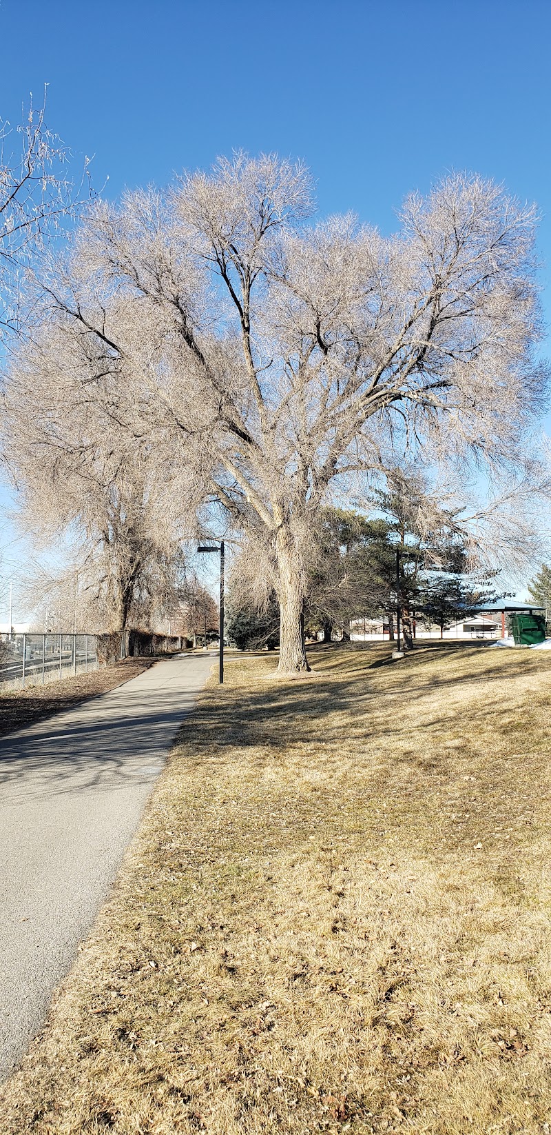 Dewey Bluth Park photo 3