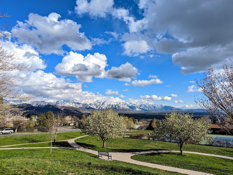 Ensign Downs Park photo 3