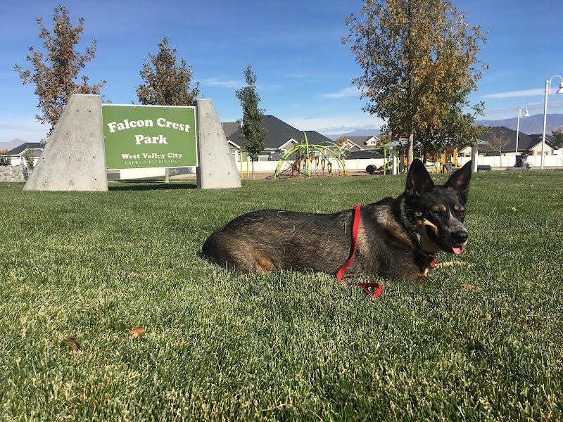 Falcon Crest Park photo 3