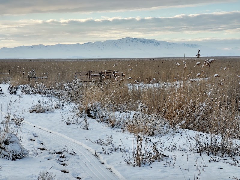 Farmington Bay Waterfowl Management Area photo 2