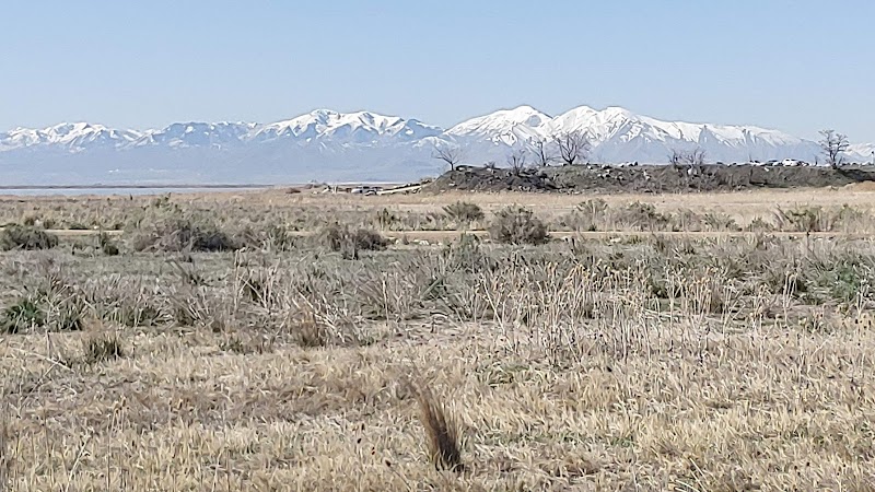 Farmington Bay Waterfowl Management Area photo 3