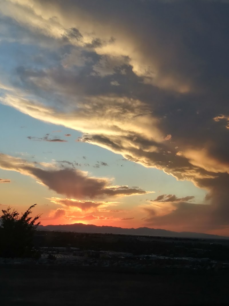 Farrell Park photo 2