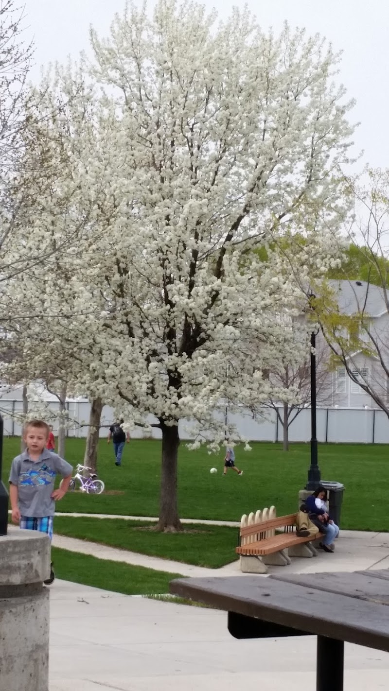 Fassio Farm Park photo 3