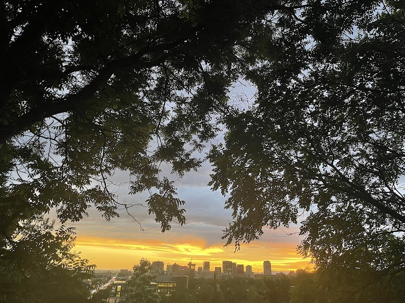 Faultline Gardens photo 2