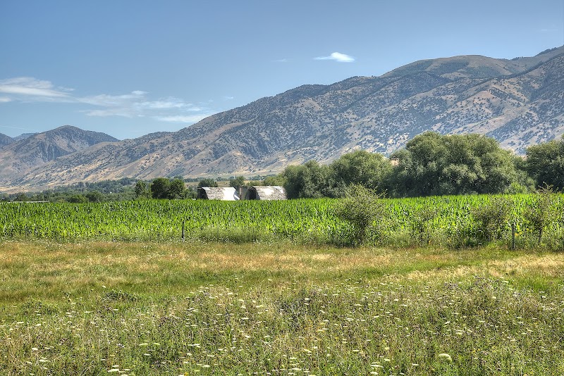 Firefly Park photo 2