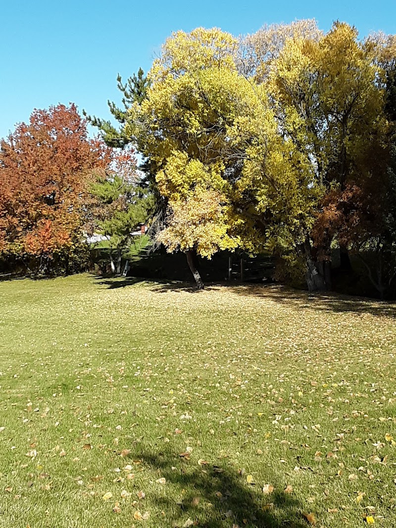 Forest Green Park photo 2