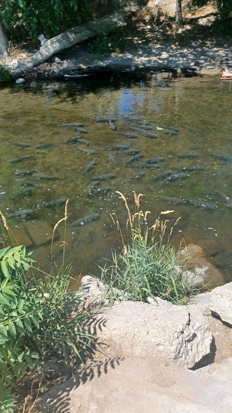 Fort Utah Greenway photo 2