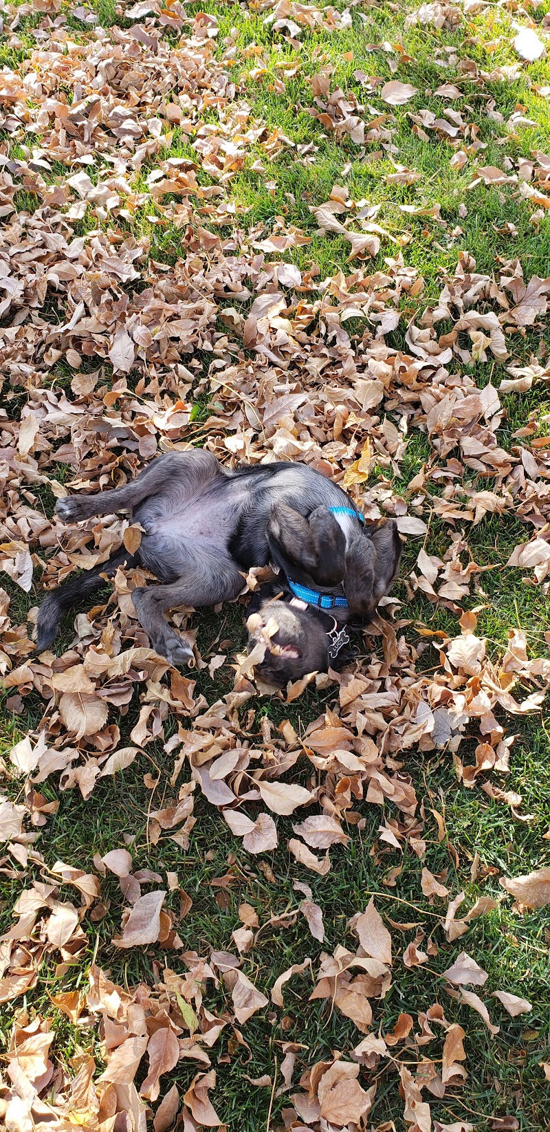 Friendship Park photo 2