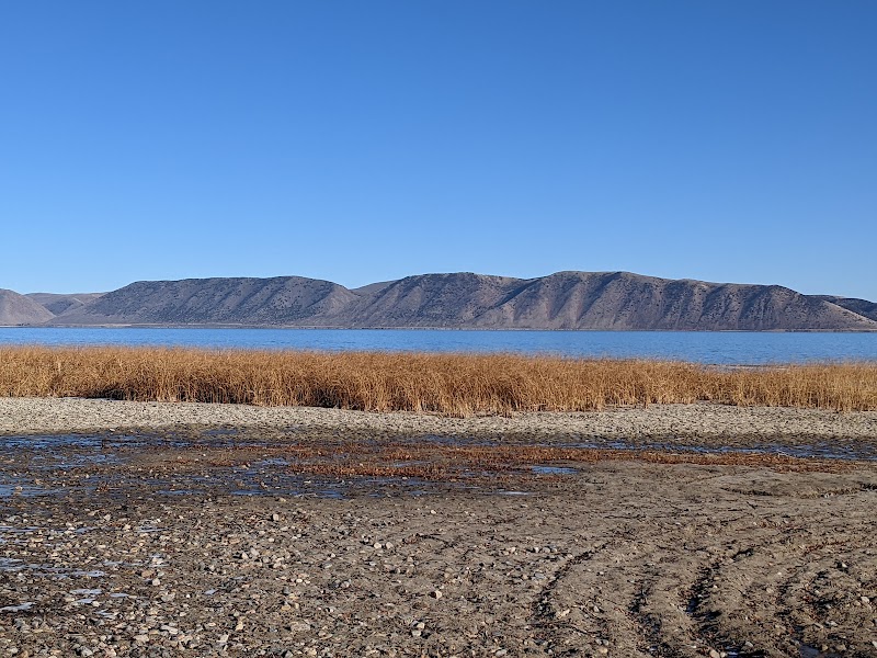 Garden City Park photo 2