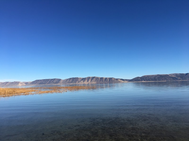 Garden City Park photo 3