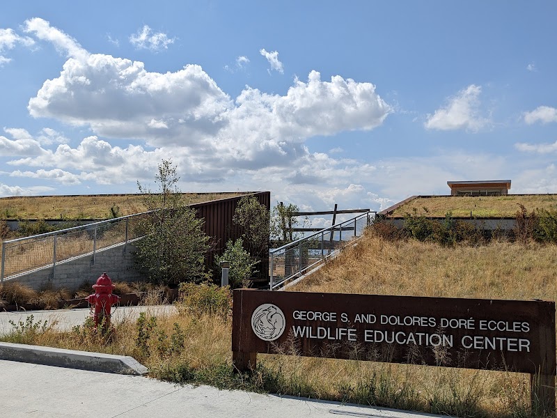 George S. and Dolores Doré Eccles Wildlife Education Center photo 2
