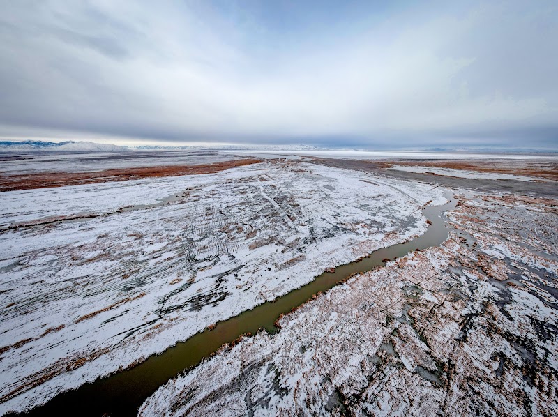 George S. and Dolores Doré Eccles Wildlife Education Center photo 3