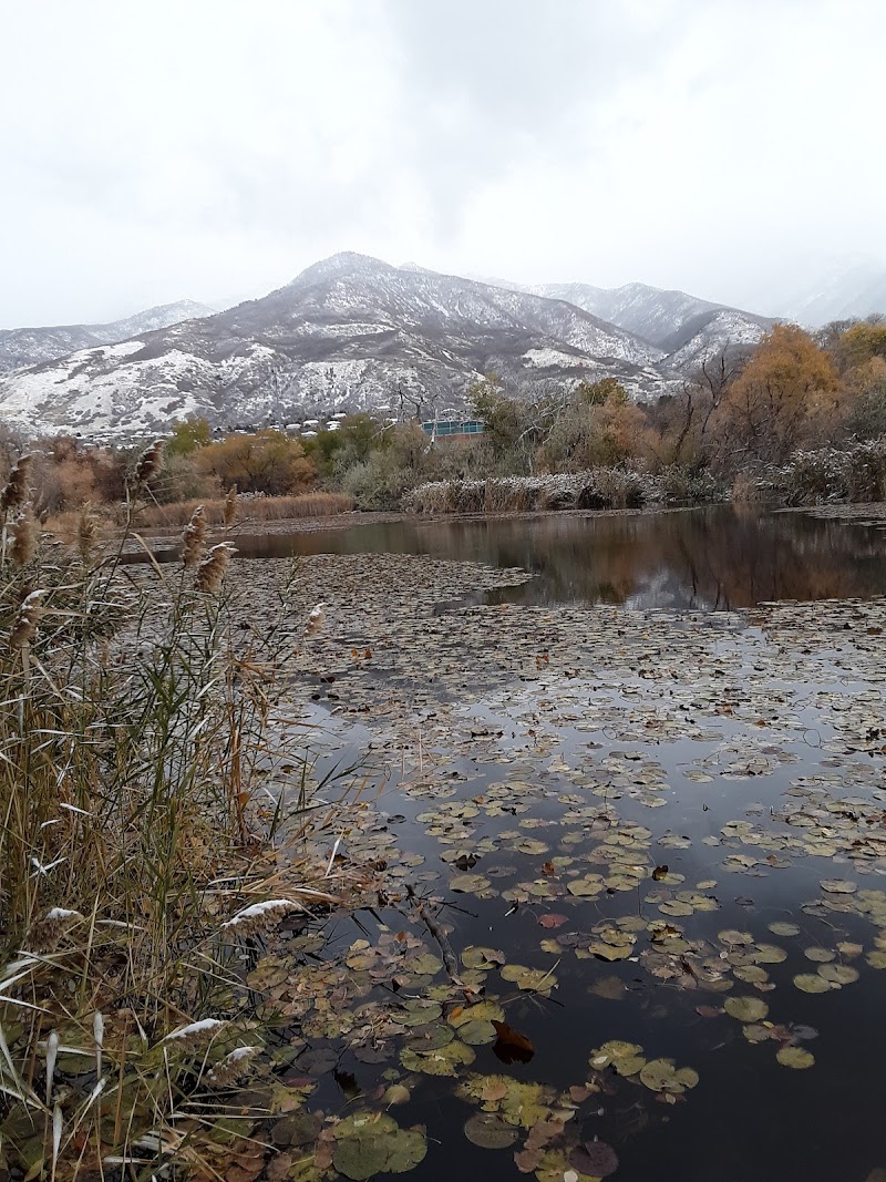 Glasmann Pond photo 3