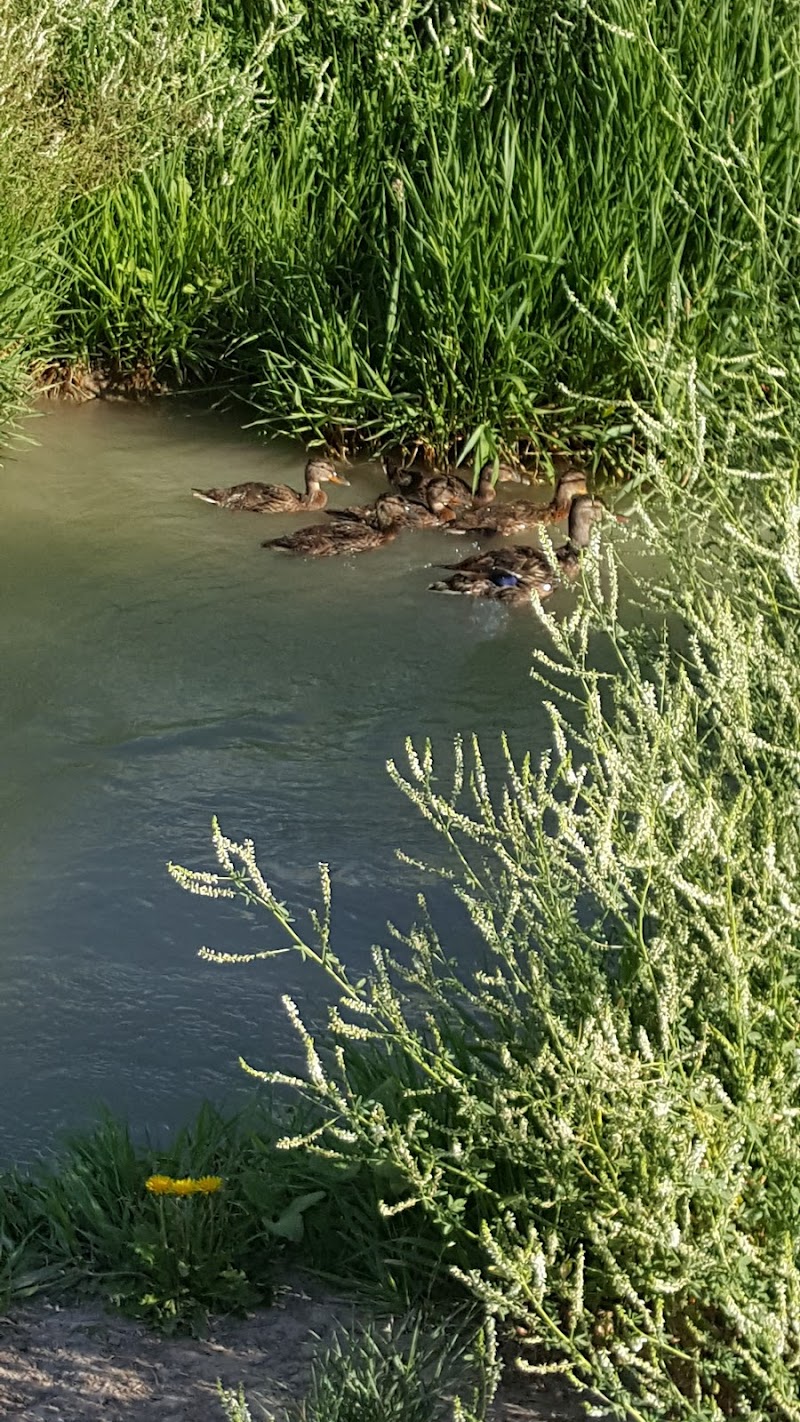 Goldenrod Park photo 2