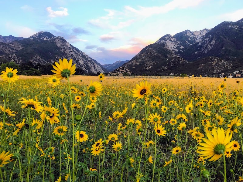 Granite Park photo 2