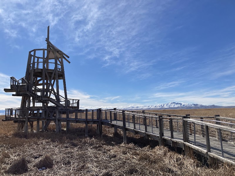 Great Salt Lake Shorelands Preserve photo 3
