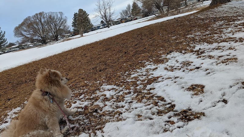 Greenbriar Park photo 3